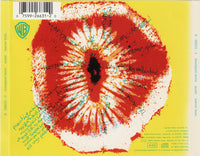 Thompson Twins: Queer w/ Punch Hole