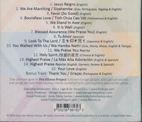 The Ethnos Project Volume Two