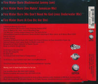 Bloodhound Gang: Fire Water Burn 4-Track