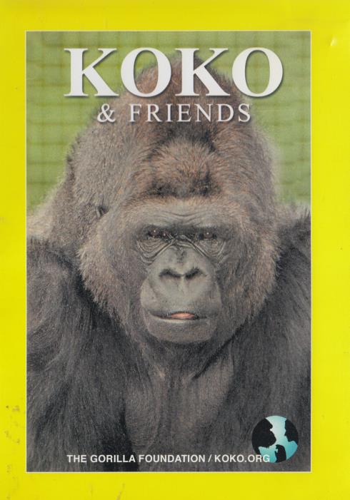 Koko & Friends