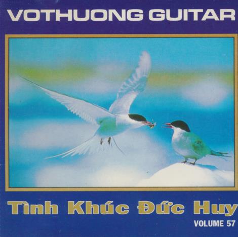 Vothuong Guitar: Tinh Khuc Duc Huy Vol. 57
