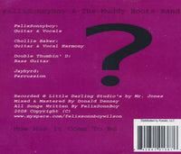 FelixSonnyBoy & The Muddy Boots Band: How Has It Come To Be