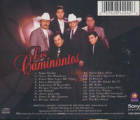 Los Caminantes: Nuestras Canciones Romanticas Favoritas