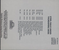 Steel Rails Under Thundering Skys