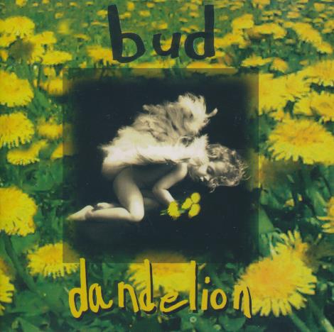 Bud: Dandelion