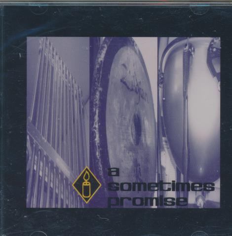 A Sometimes Promise: A Sometimes Promise Limited Edition