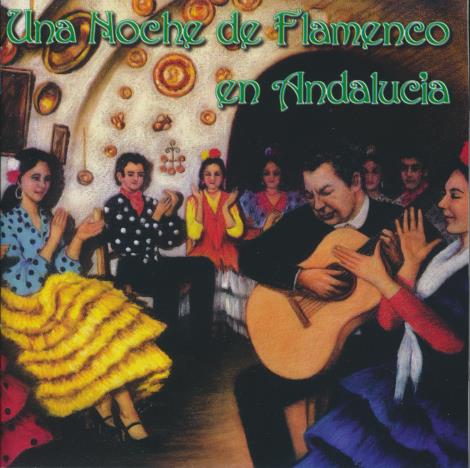 Una Noche De Flamenco En Andalucia