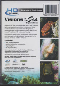 Visions Of The Sea: Explorations