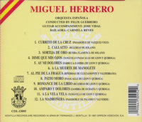 Miguel Herrero: Flamenco Moods