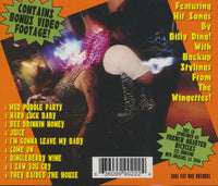 Billy Ding And The Hot Wings: Mud Puddle Party