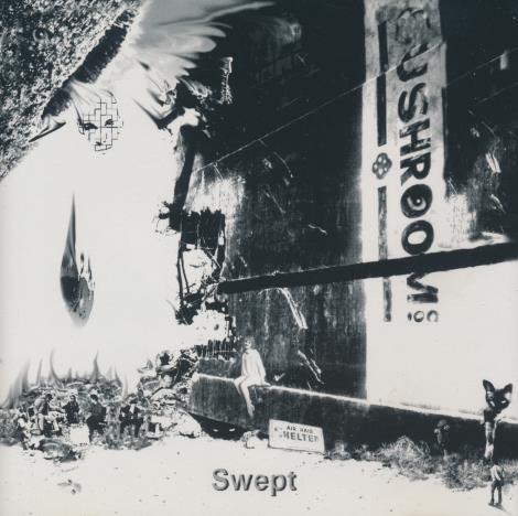 Waldog: Swept