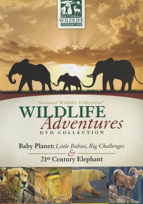 Wildlife Adventures: Baby Planet: Little Babies, Big Challenges & 21st Century Elephant