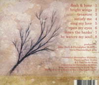 Sarah McMillan: Under Your Bright Wings