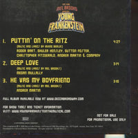 Young Frankenstein: Highlights From The Original Broadway Cast Musical Promo