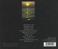 Andrew Gillespie: After The Rain