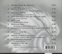 Bedlam Bards: Furious Fancies