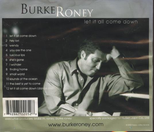 Burke Roney: Let It All Come Down Signed w/ Damaged Artwork – NeverDieMedia