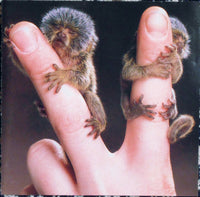 Overwhelming Colorfast: Two Words