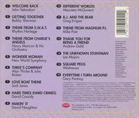 Tube Tunes: The '70s And '80s Volume Two