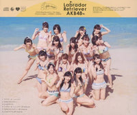 AKB48: Labrador Retriever w/ OBI Strip