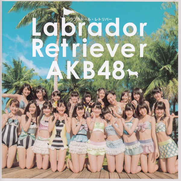 AKB48: Labrador Retriever w/ OBI Strip