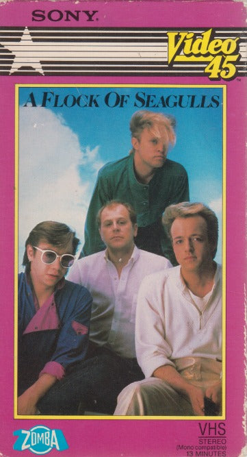 A Flock Of Seagulls