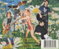 Sugar Grass: Eleven Herbs And Spices