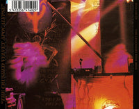 The Legendary Pink Dots: The Crushed Velvet Apocalypse