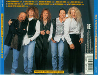 REO Speedwagon: Building The Bridge
