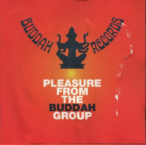 Pleasure From The Buddah Group Promo w/ Water Damaged Artwork