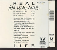 Real Life: End Mean Angel Mini CD