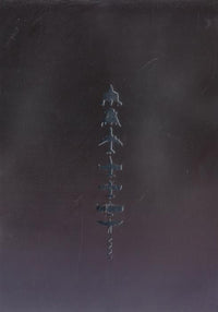 Virgin Territory: Space