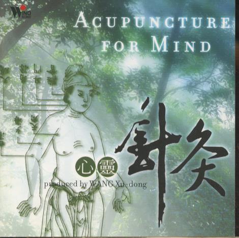 Wang Xu-dong: Acupuncture For Mind