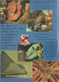 He Hele U'i Malalo O Ke Kai...: A Beautiful Journey Beneath The Sea