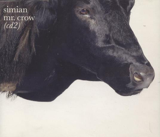 Simian: Mr. Crow Vol. 2