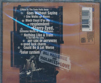 Bill Mallonee And Vigilantes Of Love: Audible Sigh