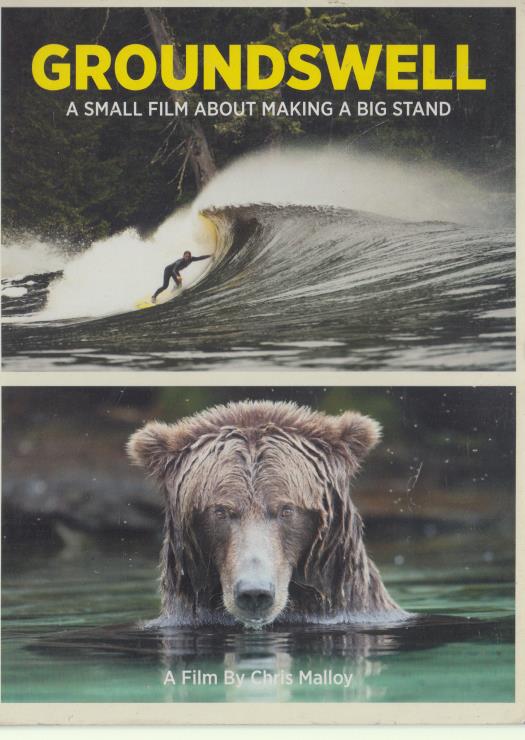 Groundswell: A Small Film About Making A Big Stand