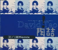 David Tao: Remix Promo