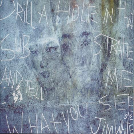 Jim White: Drill A Hole In That Substrate And Tell Me What You See