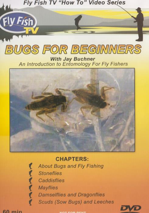 Bugs For Beginners