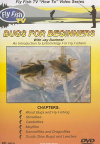 Bugs For Beginners