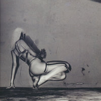 Unkle: Where Did The Night Fall