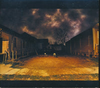 The Gutter Twins: Saturnalia