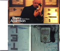 Barry Adamson: What It Means 4-Track Maxi-Single