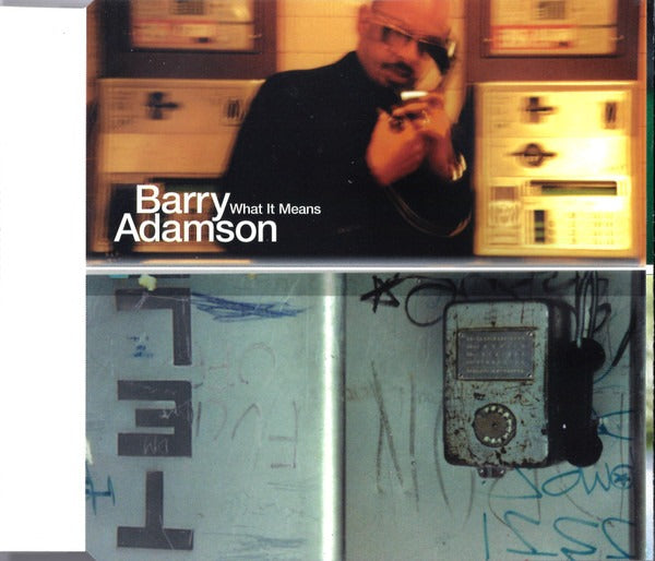 Barry Adamson: What It Means 4-Track Maxi-Single