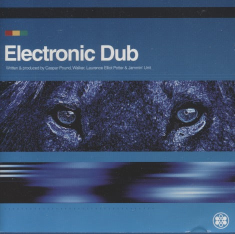 Caspar Pound & Jammin' Unit: Electronic Dub