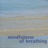 Mindfulness Of Breathing: Guided Meditation