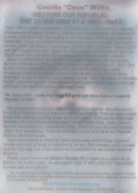 Cecilia Cece Wilks: Restore Our Republic: One Silver Dime At A Time Pt. 2 w/ Water Damaged Artwork