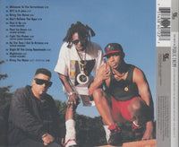 Public Enemy: The Best Of Public Enemy: The Millennium Collection