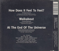 Ride: How Does It Feel To Feel? 3-Track Maxi-Single